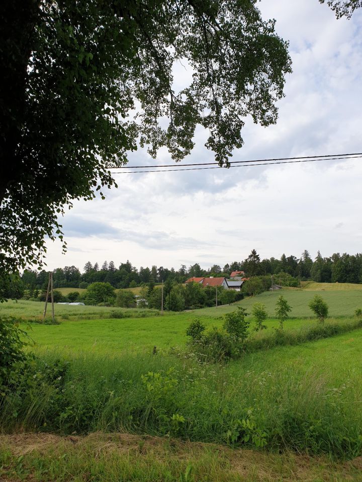 dom wolnostojący, 2 pokoje Jurkowo. Zdjęcie 14