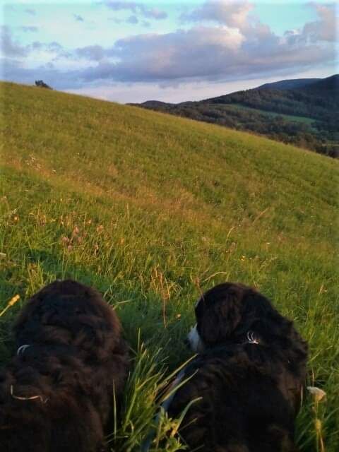siedlisko, 7 pokoi Turzańsk. Zdjęcie 12