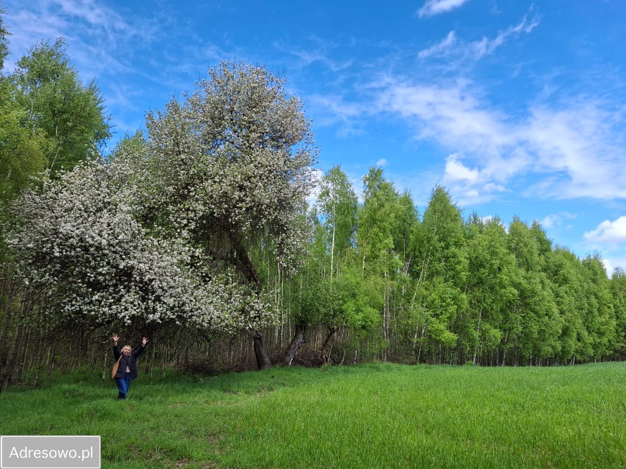 Działka budowlana Soszyce. Zdjęcie 8