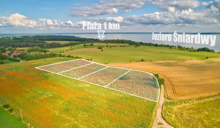 Działka rolna Dziubiele