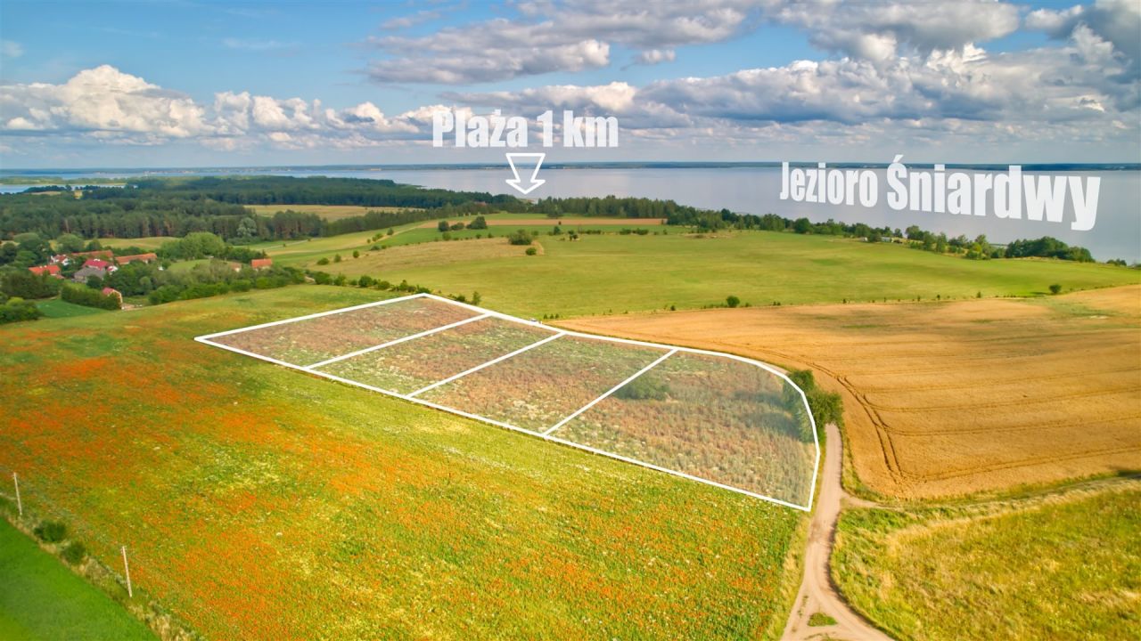 Działka rolna Dziubiele. Zdjęcie 1