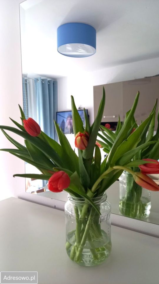 Mieszkanie 1-pokojowe Kołobrzeg, ul. Okopowa. Zdjęcie 6