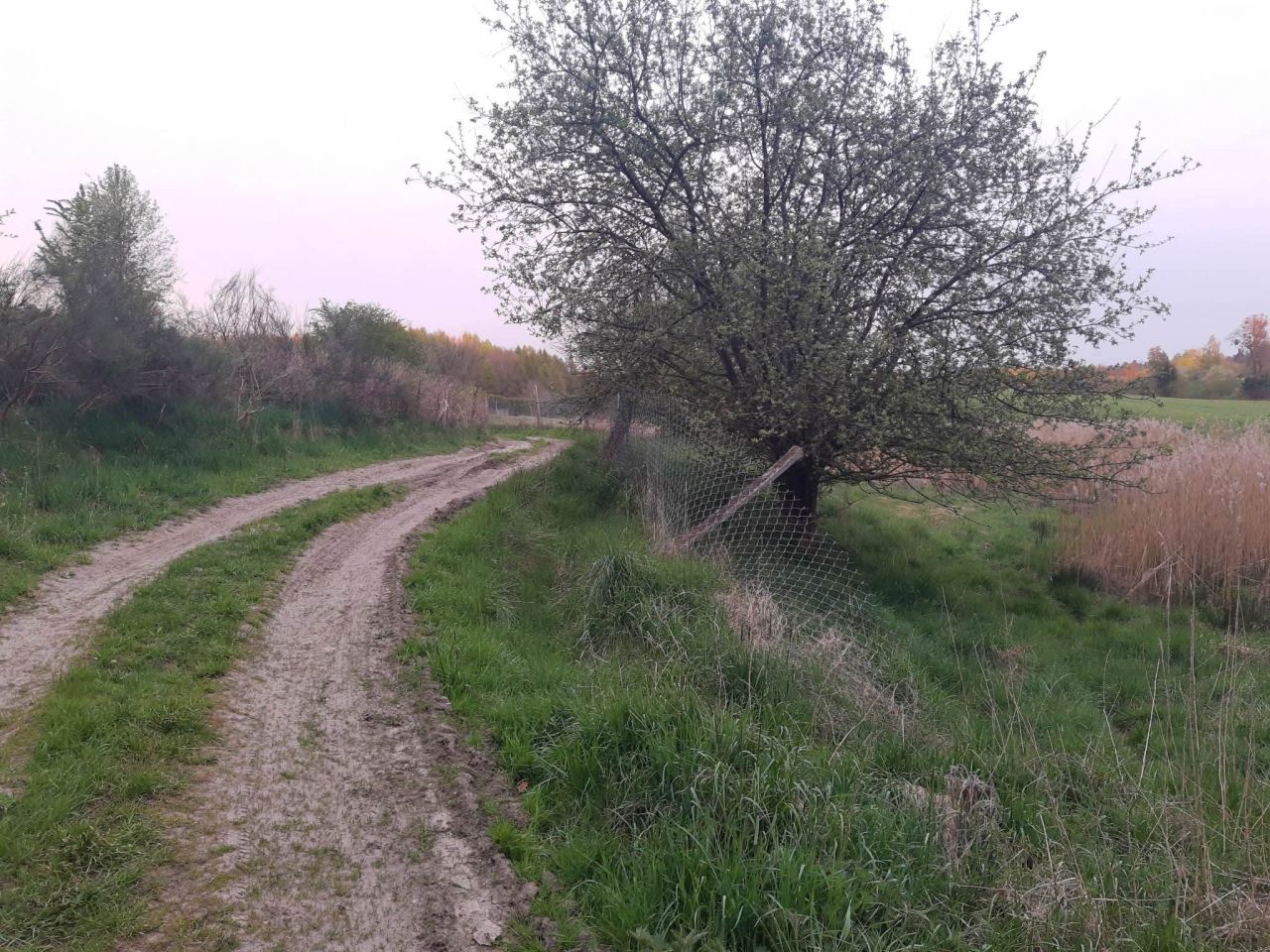 Działka budowlana Łukta, Łukta. Zdjęcie 4