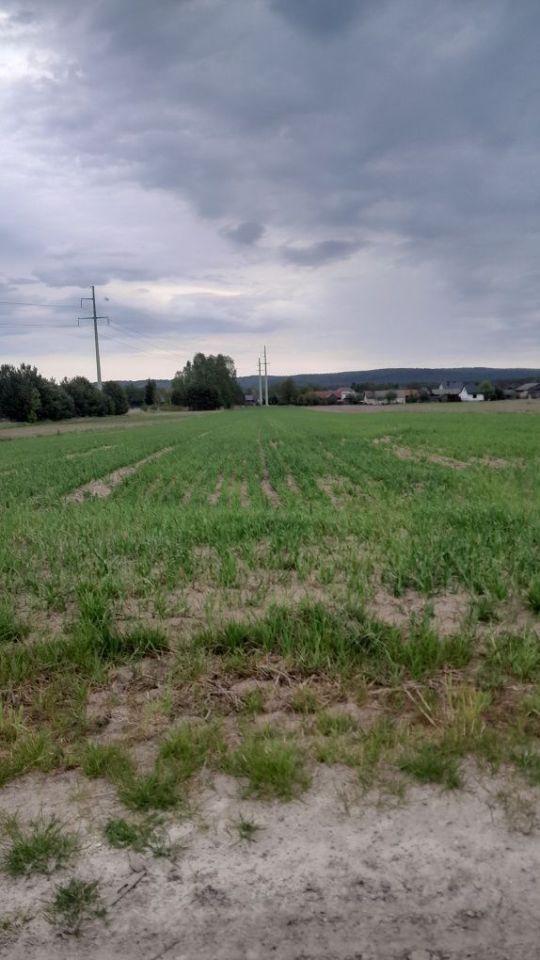 Działka budowlana Wywłoczka. Zdjęcie 2