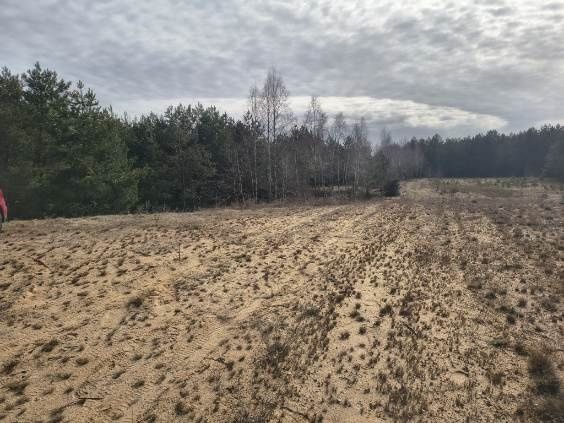 Działka Huta. Zdjęcie 7
