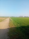 Działka budowlana Koszanowo, ul. Przemysłowa. Zdjęcie 4