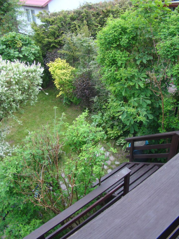 Działka rekreacyjna Czarne Małe. Zdjęcie 26