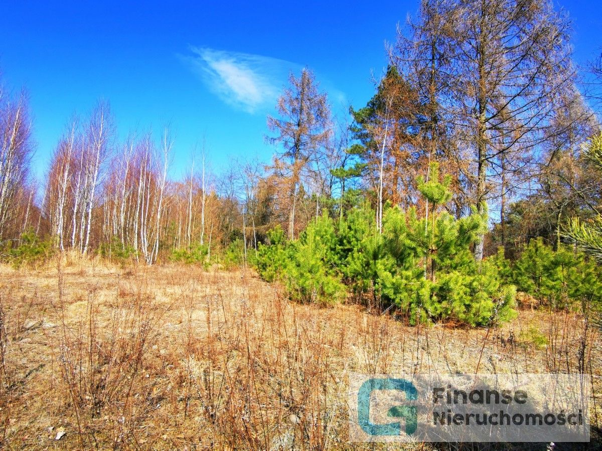 Działka rolna Żelechów, ul. Podole
