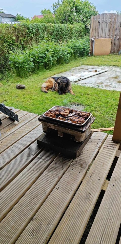 Działka rod Koszalin Jamno, ul. Aleja Europejska. Zdjęcie 5