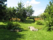 dom, 3 pokoje Łapalice, ul. Zamkowa. Zdjęcie 4