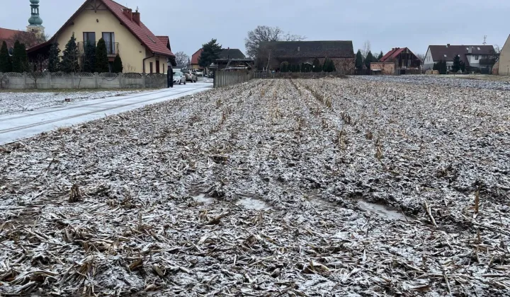 Działka budowlana Brzezia Łąka, ul. Poprzeczna
