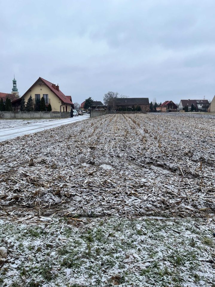 Działka budowlana Brzezia Łąka, ul. Poprzeczna. Zdjęcie 1