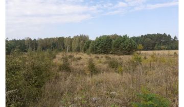 Działka rolno-budowlana Marksewo