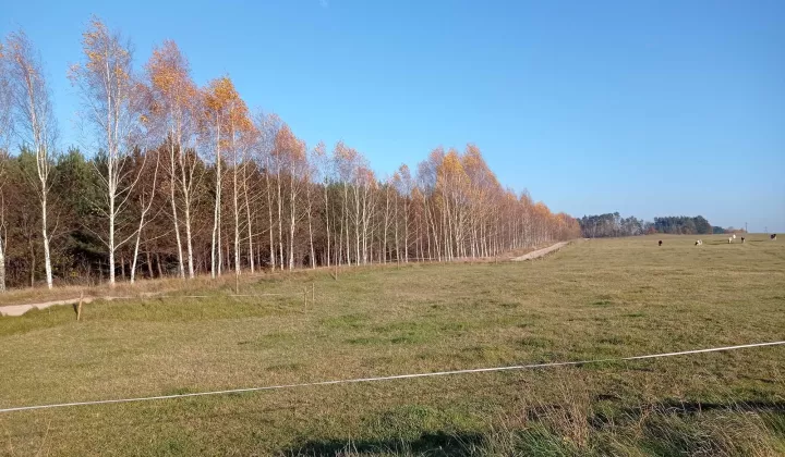 Działka budowlana Jagodne Wielkie