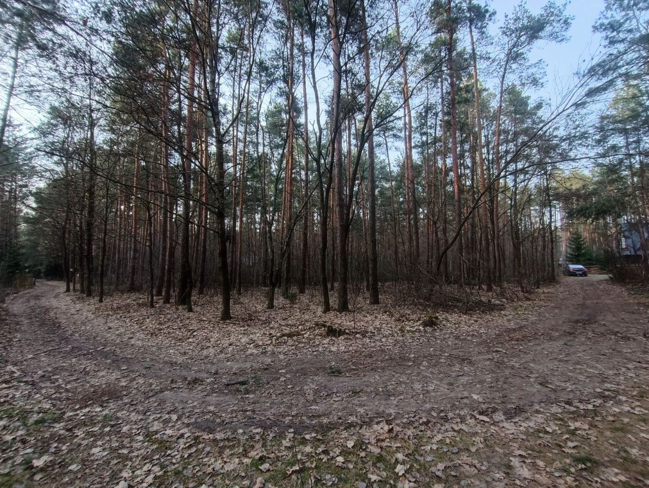 Działka rekreacyjna Mierzwice-Kolonia. Zdjęcie 4