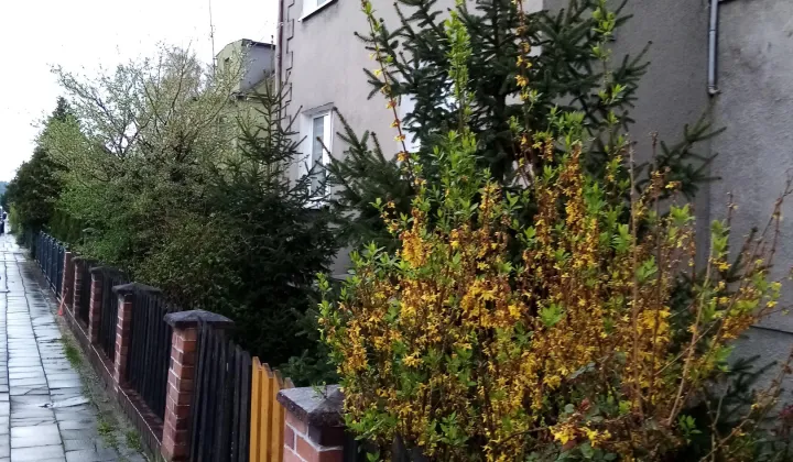 dom wolnostojący, 5 pokoi Nowa Sól Koserz, ul. Wiejska