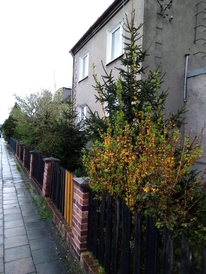 dom wolnostojący, 5 pokoi Nowa Sól Koserz, ul. Wiejska