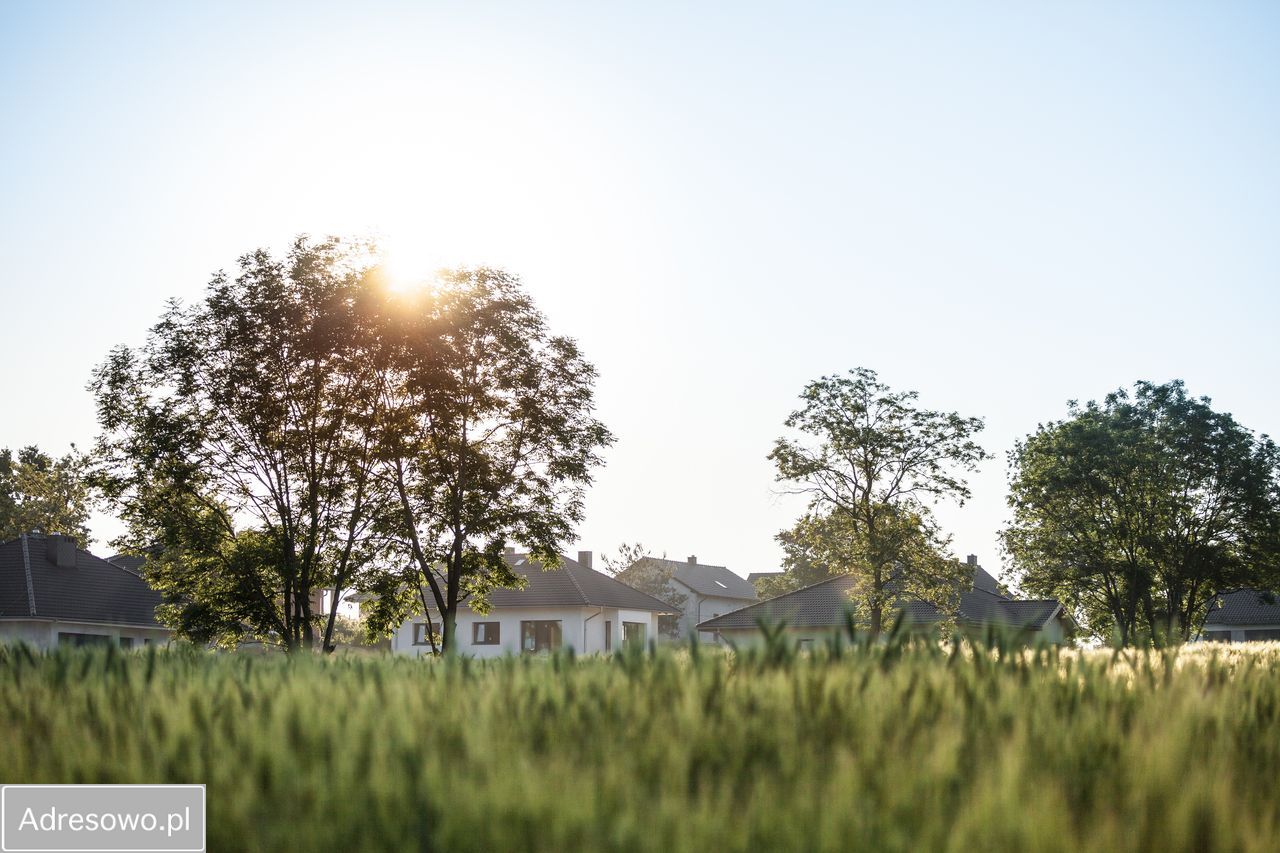Działka budowlana Górki. Zdjęcie 6