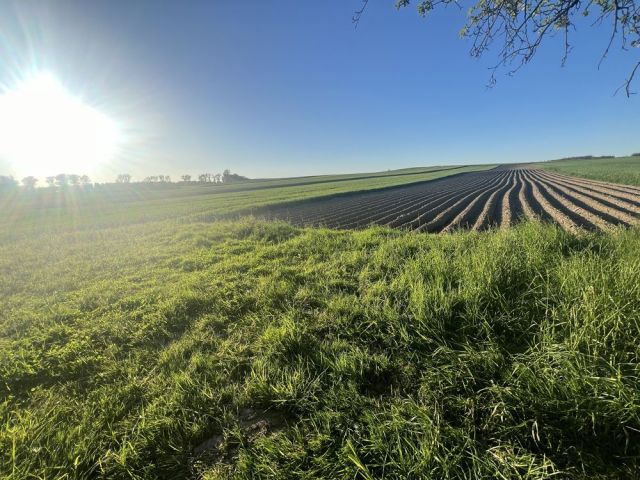 Działka budowlana Studniska Dolne. Zdjęcie 1