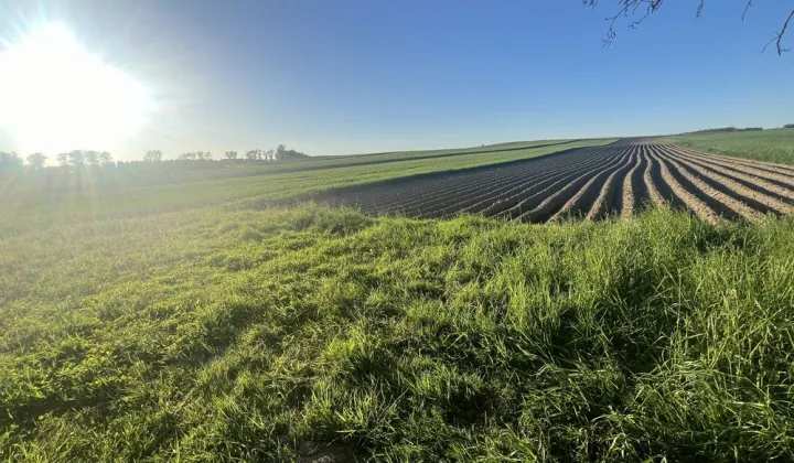 Działka budowlana Studniska Dolne