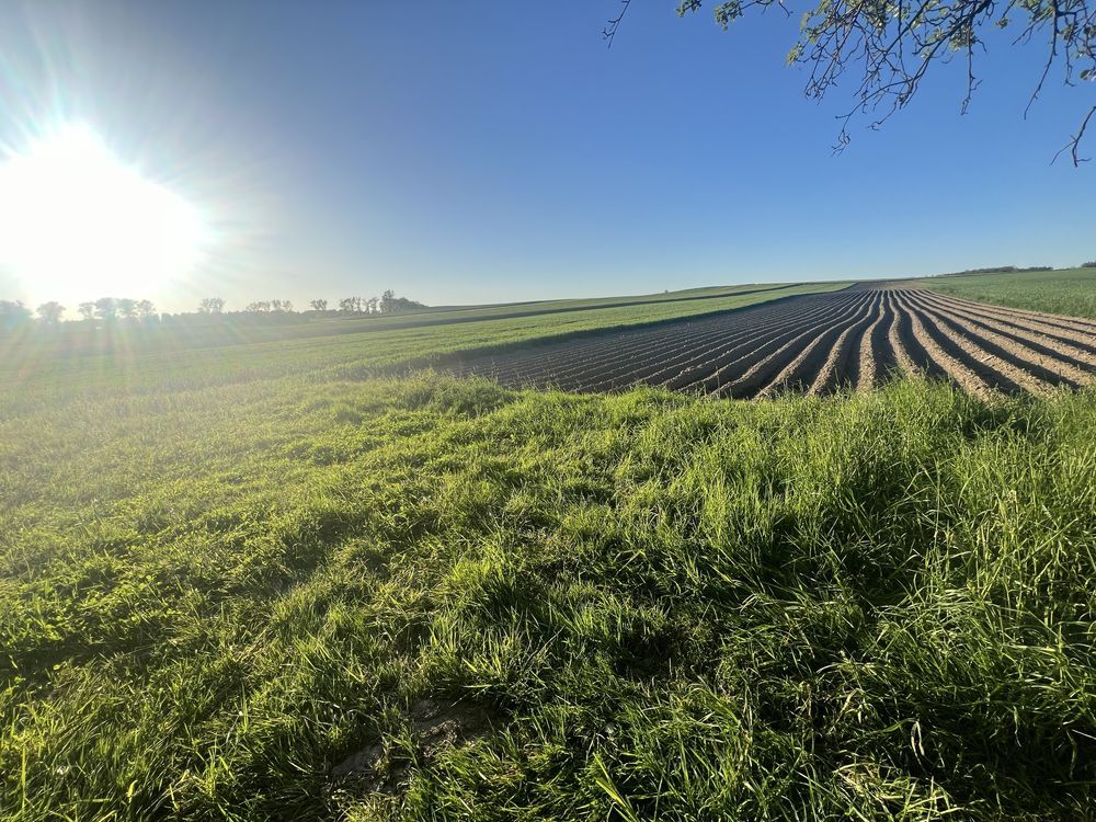 Działka budowlana Studniska Dolne
