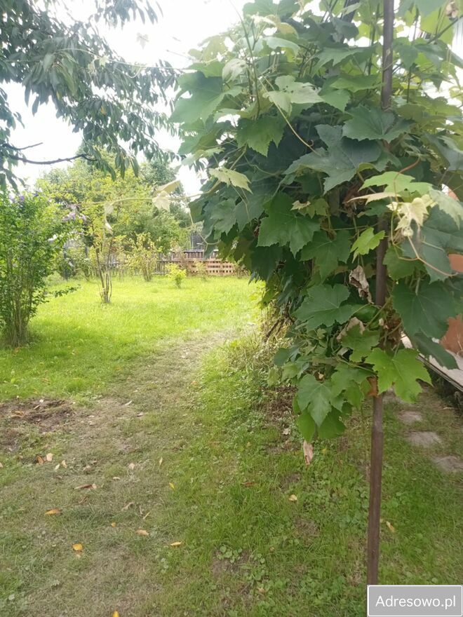 Działka rod Rzeszów, ul. Powstańców Listopadowych. Zdjęcie 3