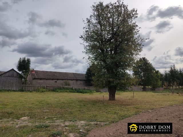 dom letniskowy, 1 pokój Wojnówka. Zdjęcie 8