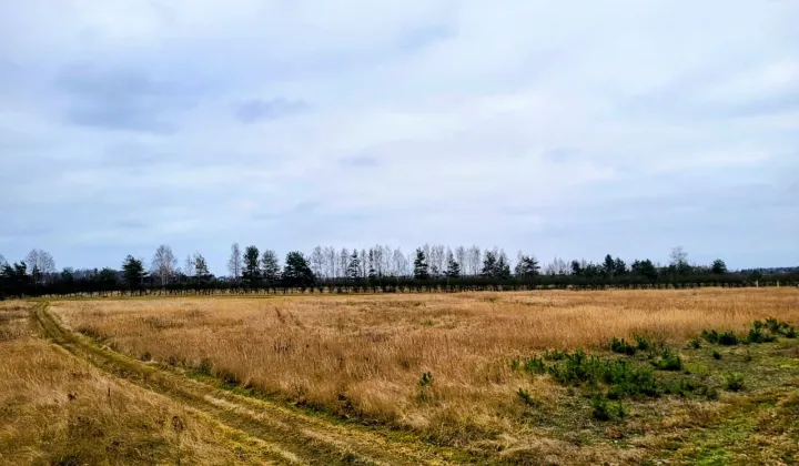 Działka rolna Sobienie Biskupie