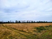 Działka rolna Sobienie Biskupie