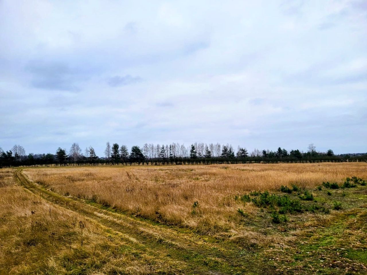 Działka rolna Sobienie Biskupie