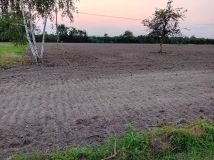 Działka rolno-budowlana Uleniec. Zdjęcie 2