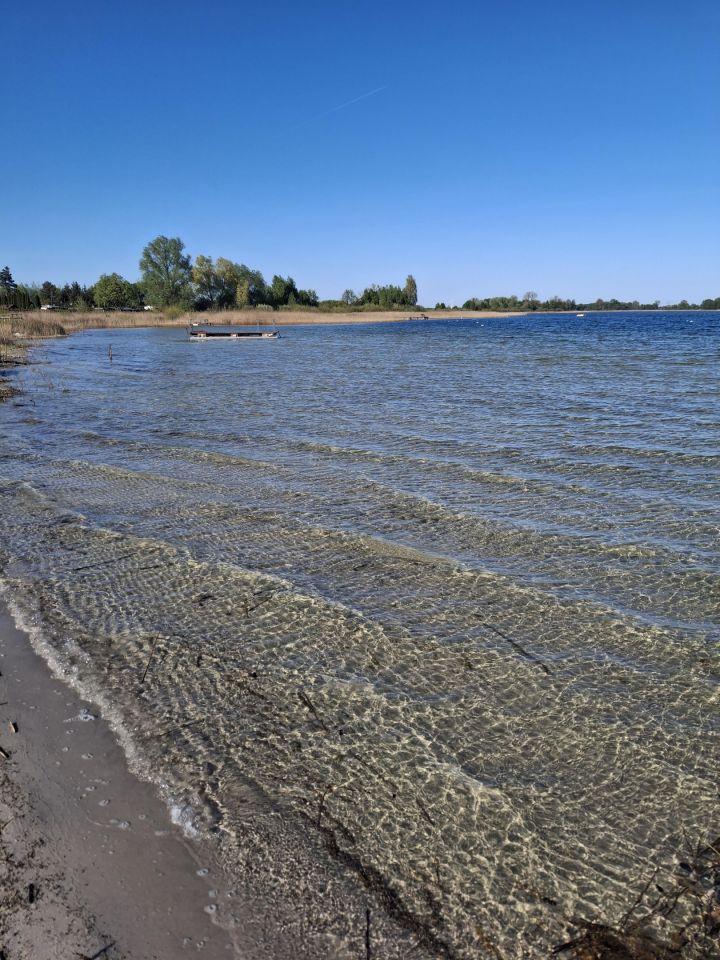 Działka rekreacyjna Kamienica, Zielony zakątek. Zdjęcie 17