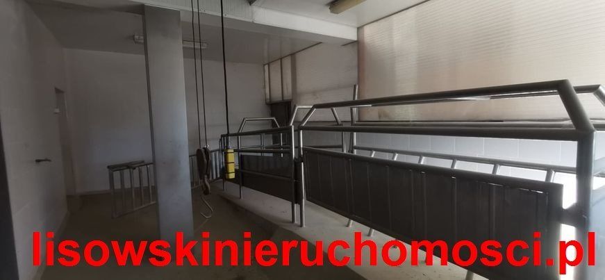 Hala/magazyn Stryków. Zdjęcie 6