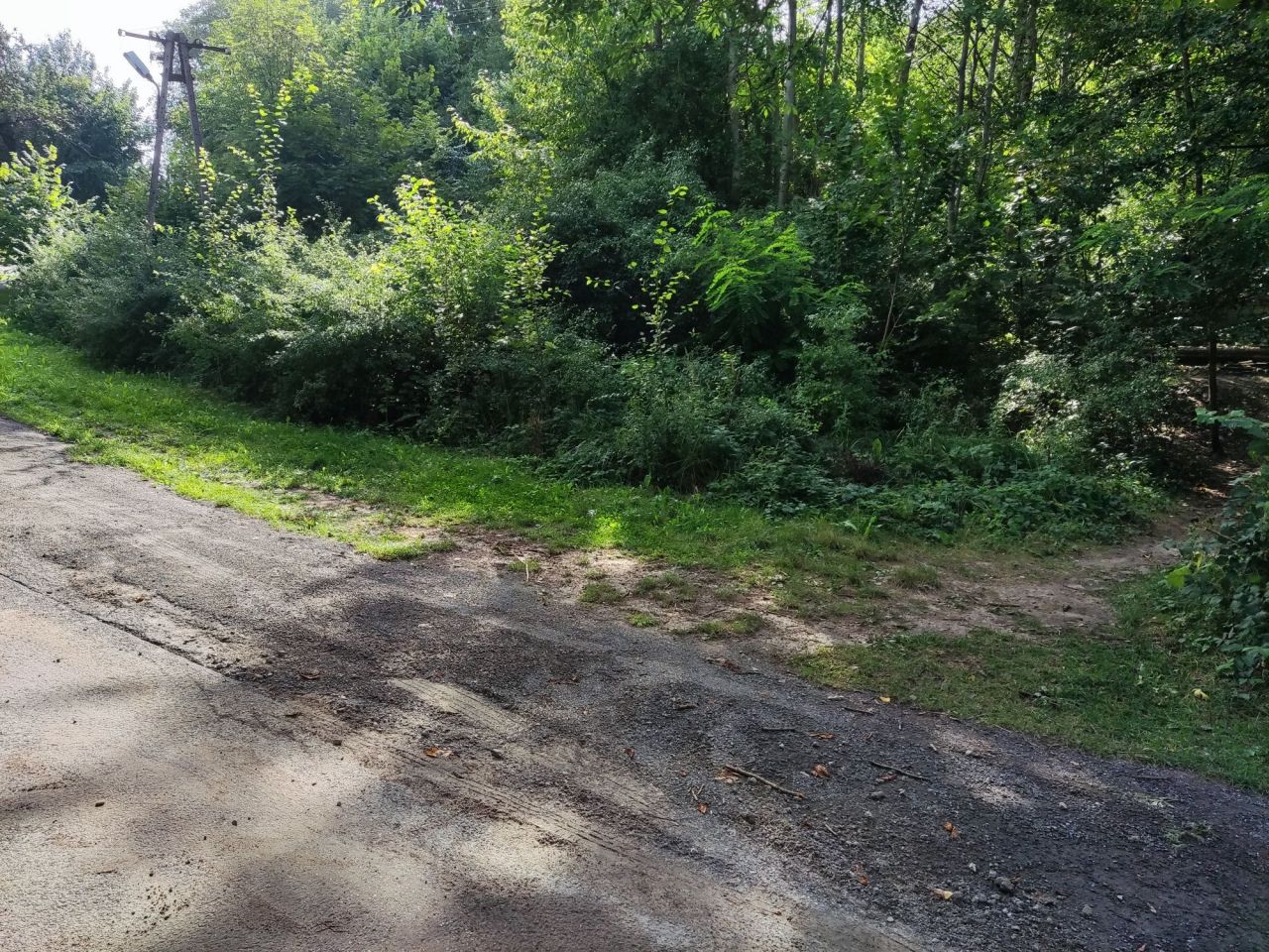 Działka rolno-budowlana Jędrzejowice. Zdjęcie 4