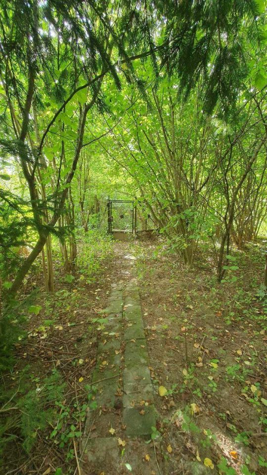 Działka rod Słupsk. Zdjęcie 3