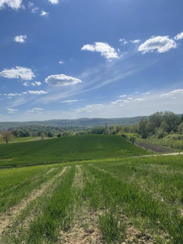 Działka budowlana Kuńkowce. Zdjęcie 1