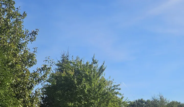 Działka rod Stargard Centrum, ul. Michała Drzymały