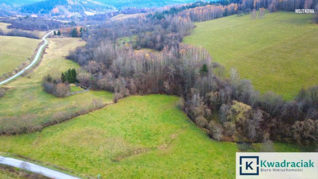 Działka rolna Nowosielce Kozickie. Zdjęcie 11