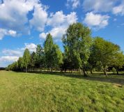 Działka budowlana Konary, ul. Brzozowa. Zdjęcie 2