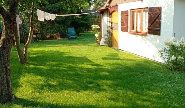 Działka rod Żyrardów