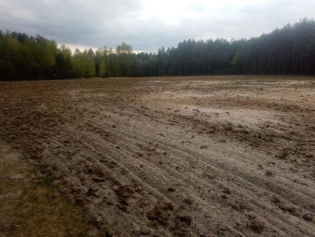 Działka budowlana Nowa Jastrząbka. Zdjęcie 1