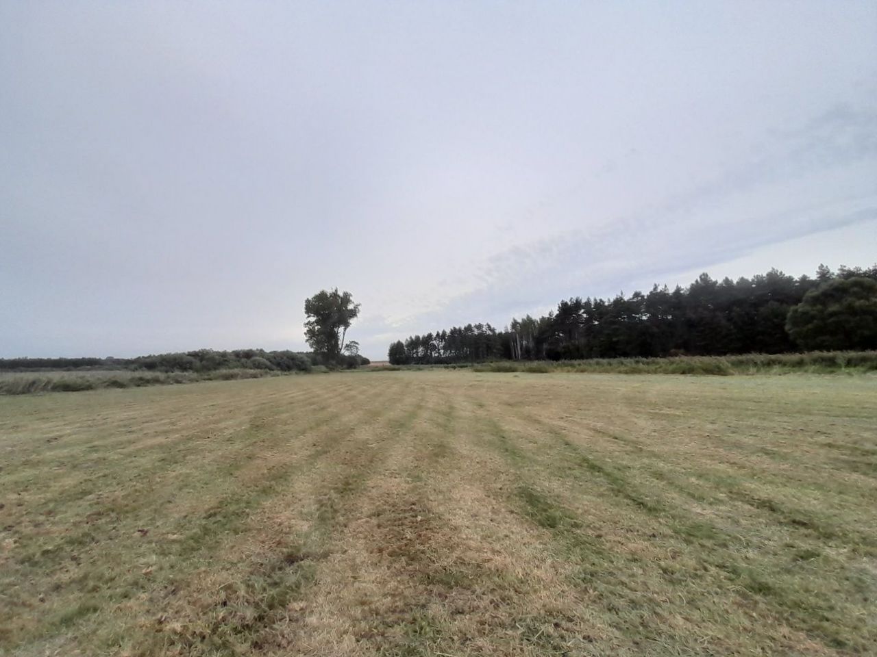 Działka rekreacyjna Sadłogoszcz. Zdjęcie 3