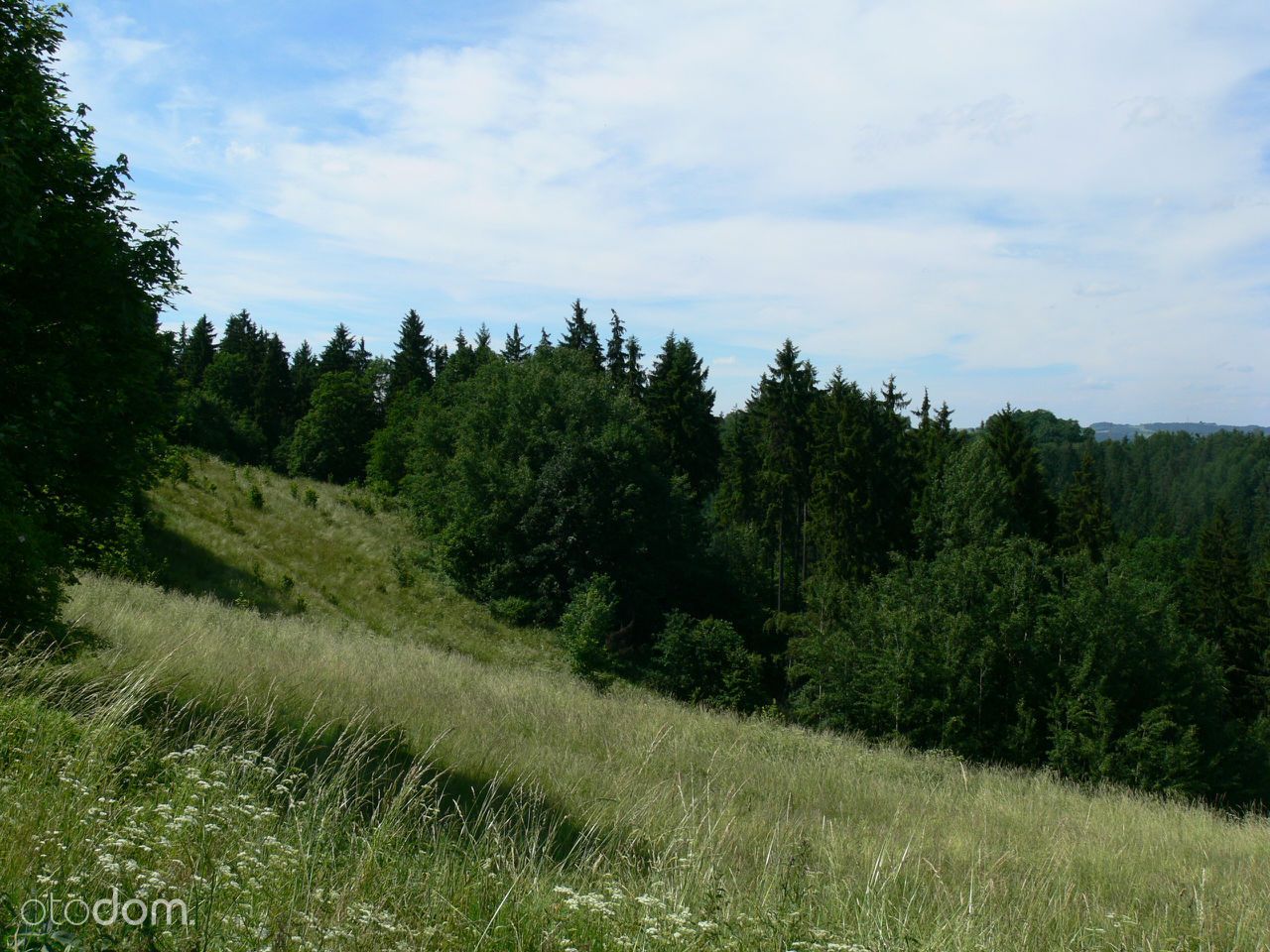 Działka rolna Siedlęcin. Zdjęcie 9