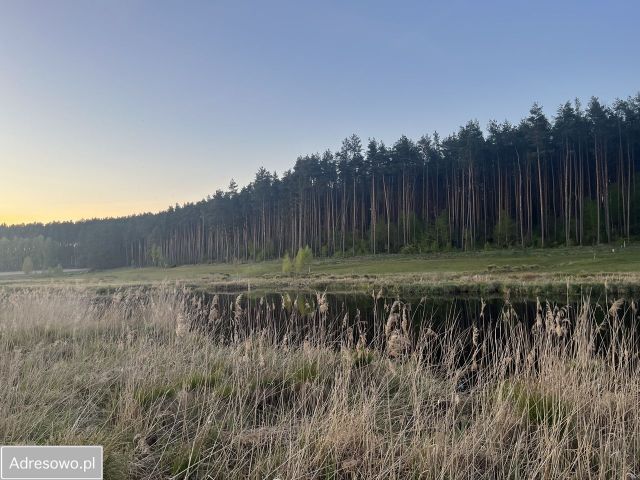 Działka Przechlewo. Zdjęcie 1