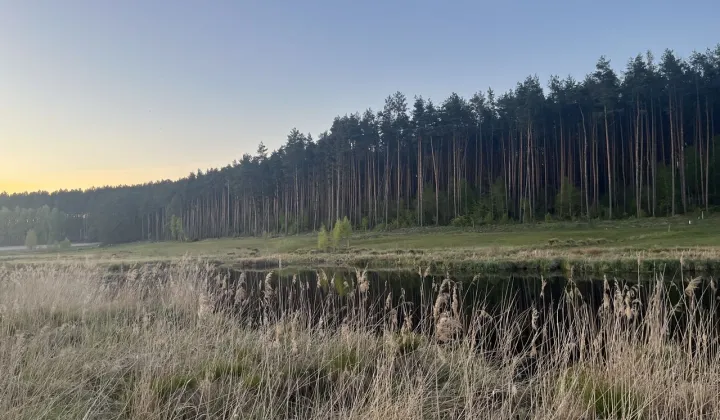 Działka Przechlewo