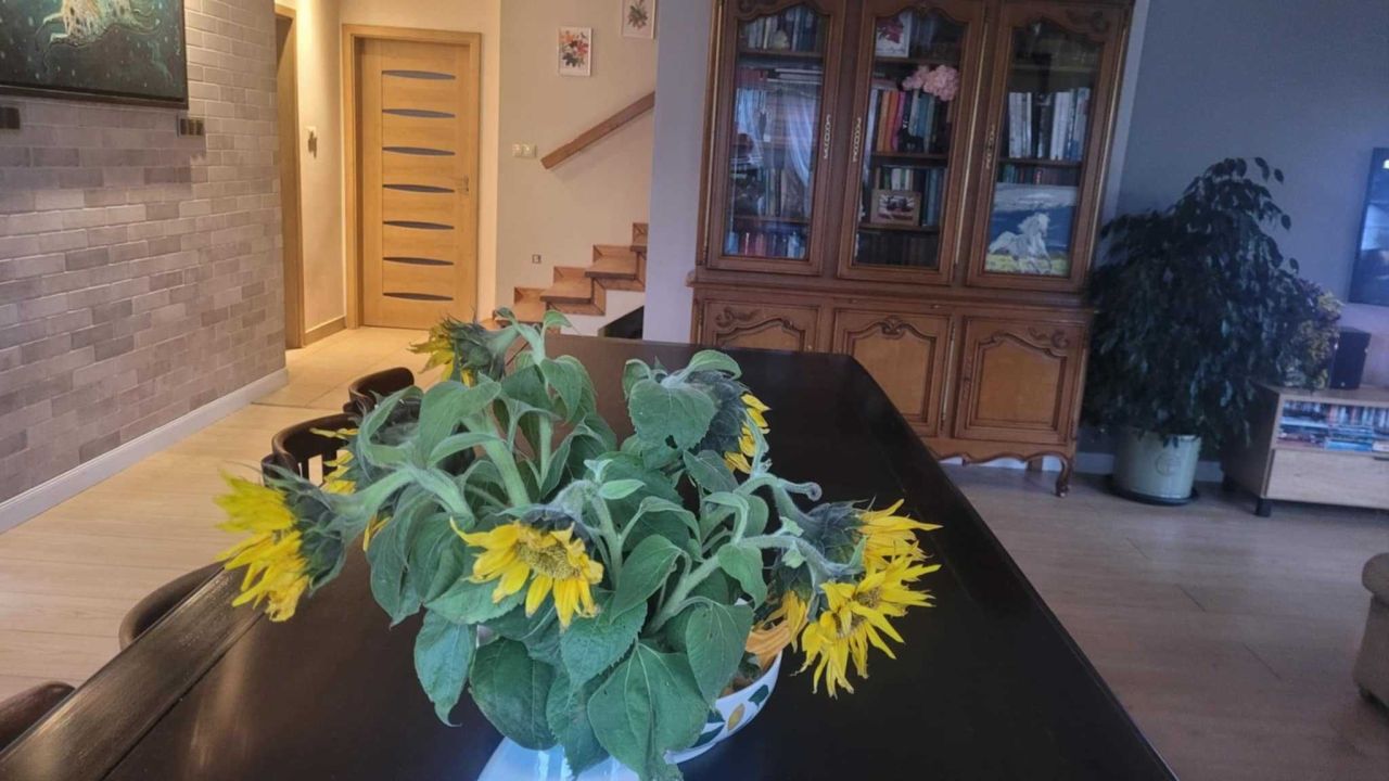 dom wolnostojący Leszno. Zdjęcie 4