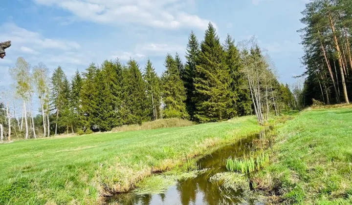 Działka inwestycyjna Wielbark