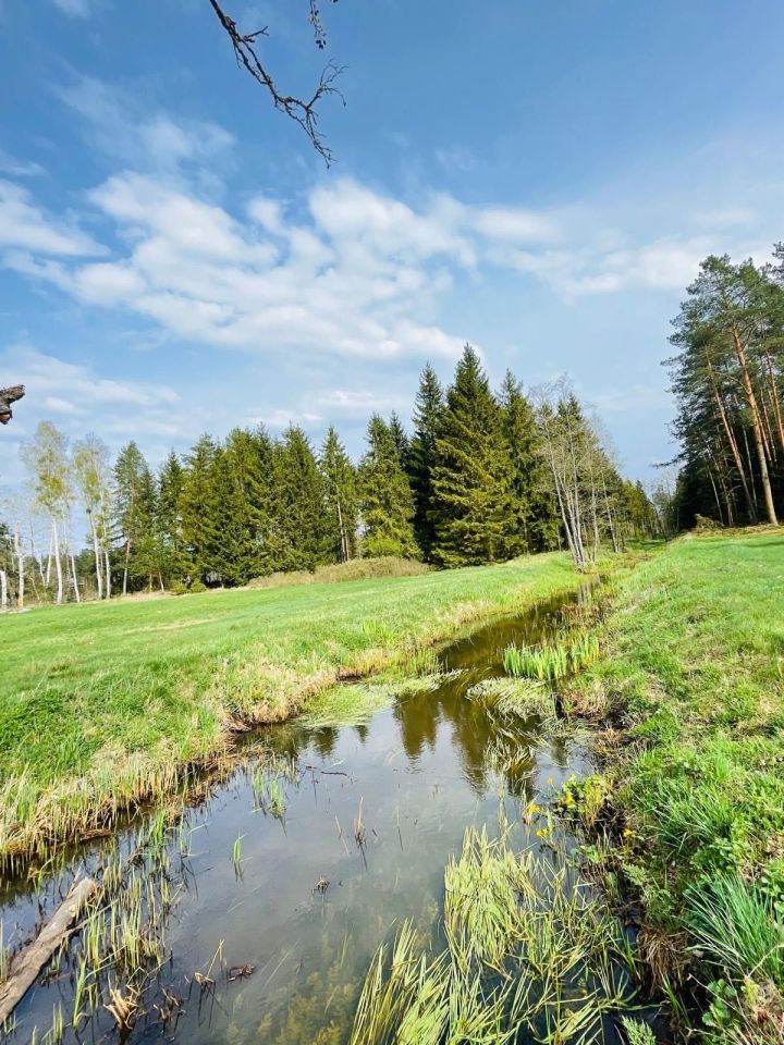 Działka inwestycyjna Wielbark