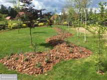 dom wolnostojący, 5 pokoi Piaski. Zdjęcie 3