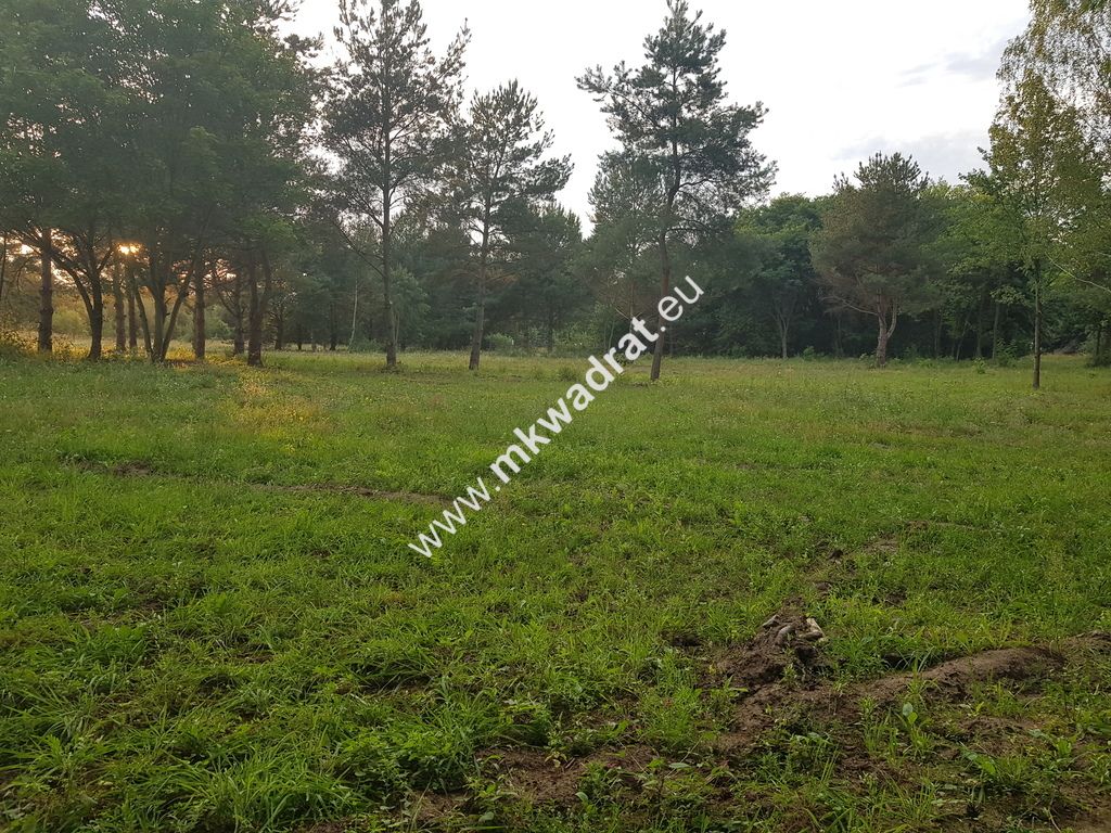 Działka budowlana Radziejowice-Parcel. Zdjęcie 3